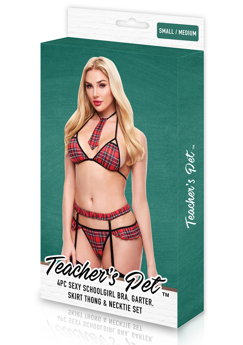 Teacher's Pet 4 Piece Sexy Schoolgirl Set